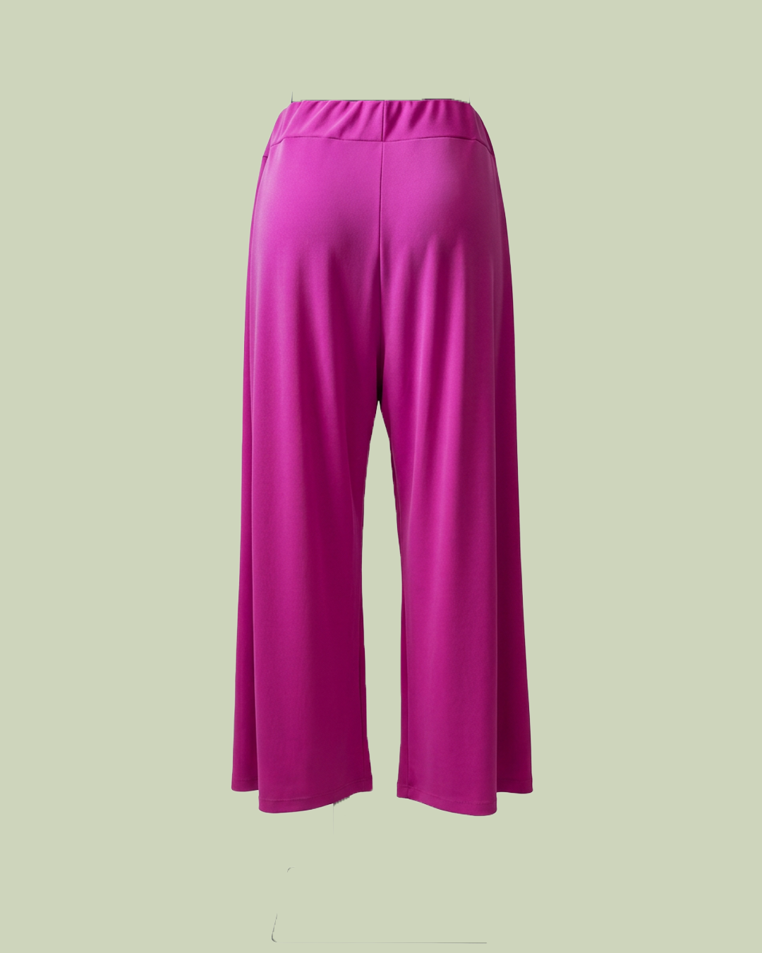Pantalone palazzo con pince ed elastico dietro - Lysa Kott